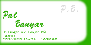 pal banyar business card